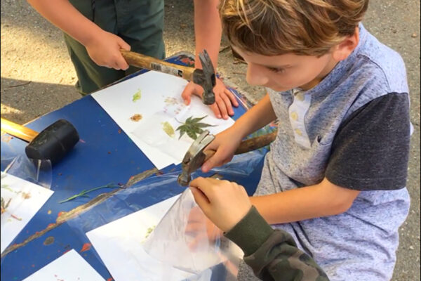 Winter Through the Senses1